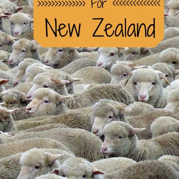 Trip To New Zealand Prepare And Pack ZigZag On Earth