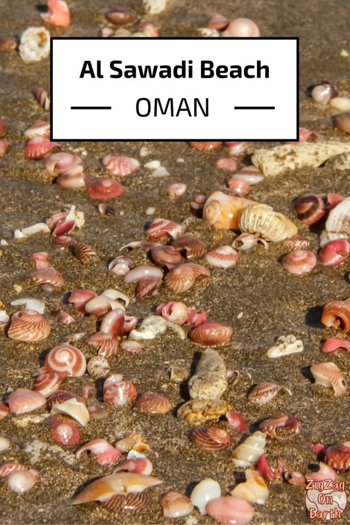 Al Sawadi Al Sahil strand Snäckor - Oman - Reseguide