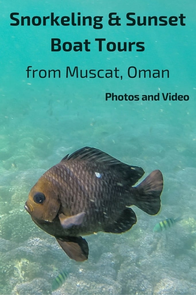 Tour costiero di snorkeling al tramonto da Muscat Oman - Guida video foto