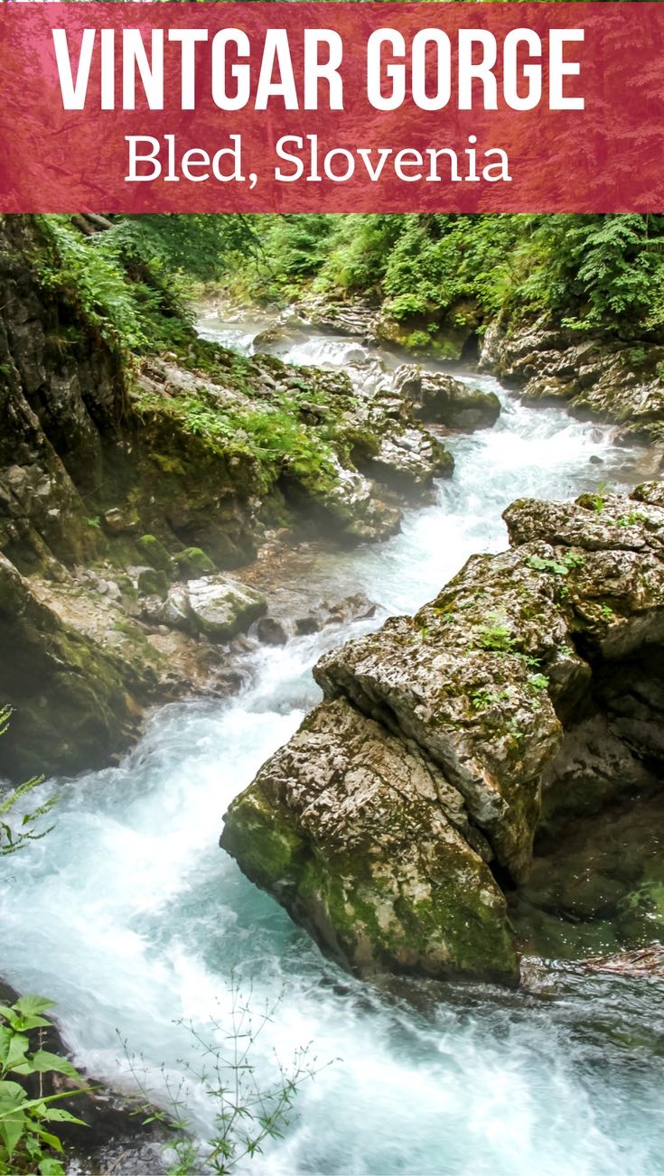 Pin Vintgar Gorge Slovenia Travel Lake Bled Gorge - slovenia things to do Pin Vintgar Gorge Slovenia Travel Lake Bled Gorge - slovenia things to do