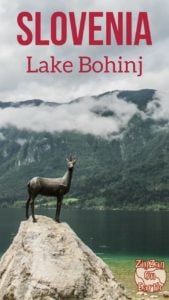 Lake Bohinj Slovenia Travel Guide Lake Bohinj Slovenia Travel Guide