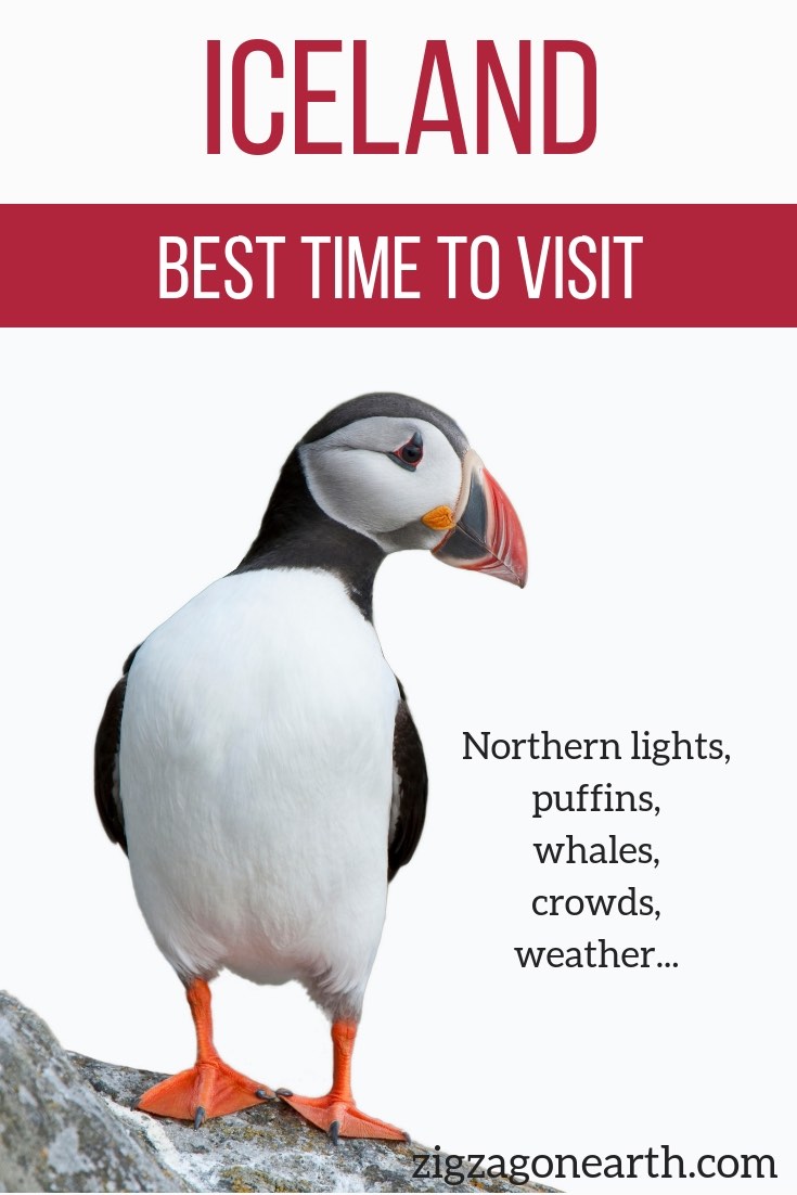 best time to visit Iceland for Northern lights puffins
