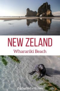 Wharariki Beach New Zealand Travel Pin Wharariki Beach New Zealand Travel Pin