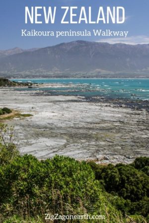 Kaikoura peninsula Walkway New Zealand Travel Pin Kaikoura peninsula Walkway New Zealand Travel Pin