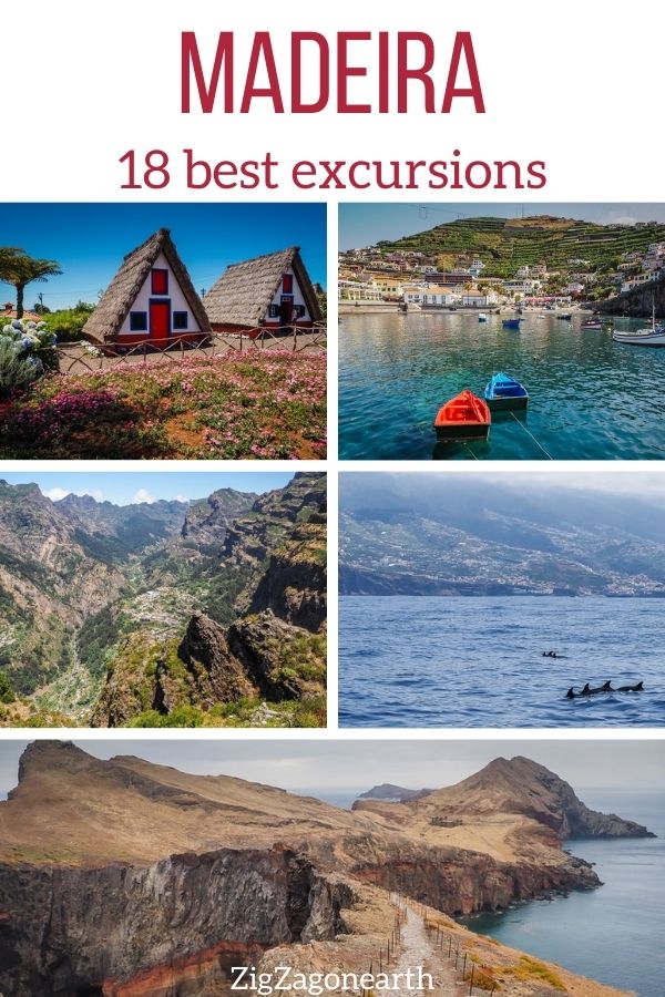 Best Madeira tours excursions Pin