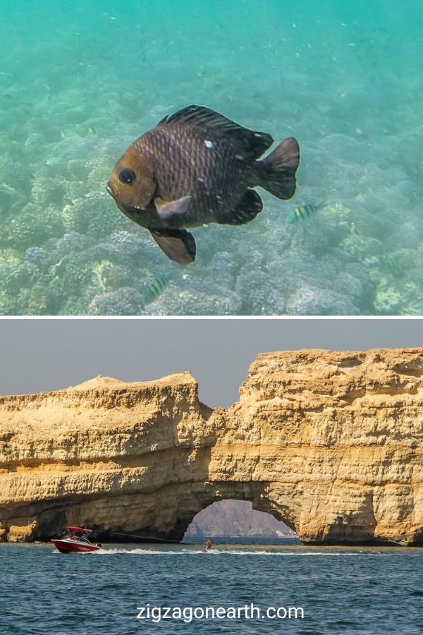 Excursões costeiras de snorkeling ao pôr do sol a partir de Muscat, Omã - Guia vídeo fotos