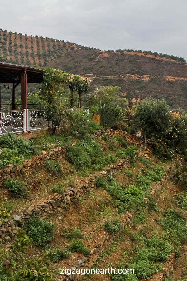 Kretas botaniska trädgård Kreta resor