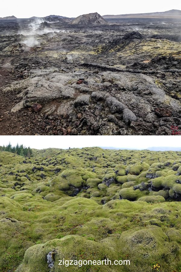 Campi di lava in Islanda Pin di viaggio3