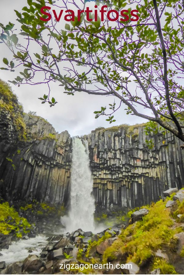 Reseguide Island : Planera ditt besök till Svartifoss och Skaftafell