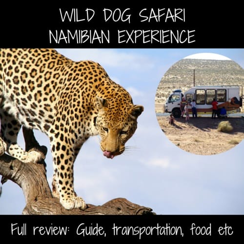 Review 2 week Namibian Experience Wild Dog Safari