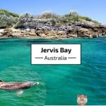 Jervis Bay Cruise and Dolphins - Australia - Travel Guide (1)