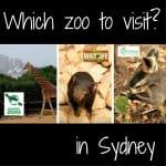 Sydney which zoo to visit - Tarong Featherdale Wildlife park