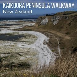 Kaikoura peninsula Walkway New Zealand Travel Guide