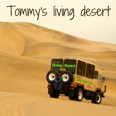 Travel Guide Namibia - Tommy Living Desert Safari