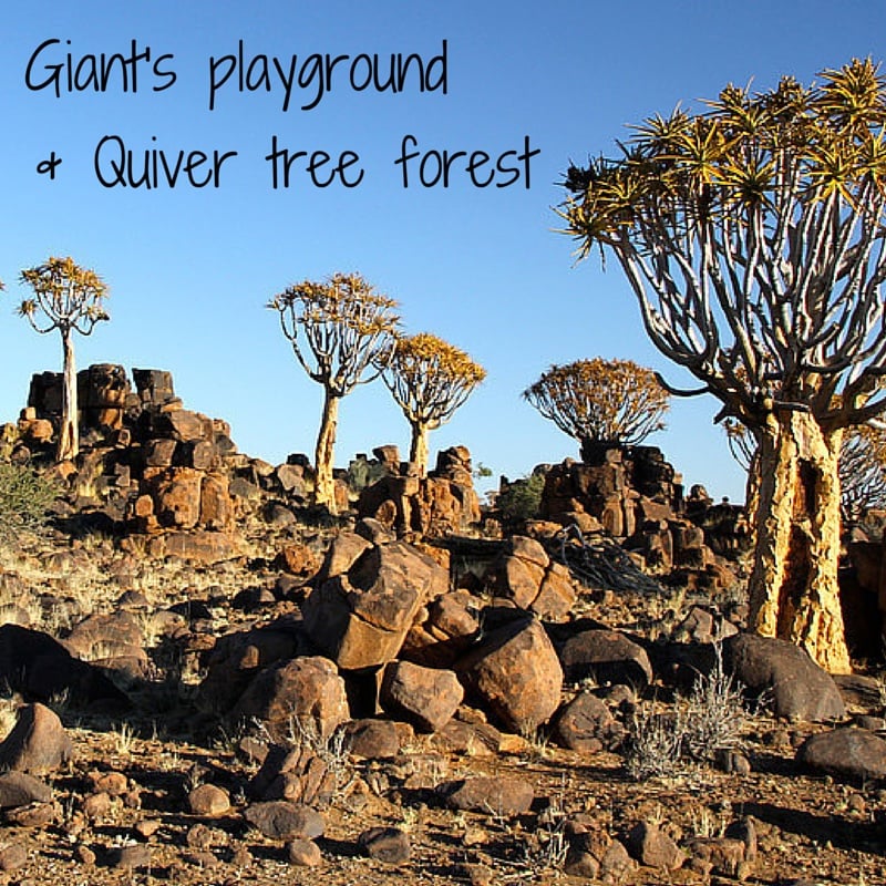 Travel Guide Namibia - plan your visit to the Quiver tree forest and Giant playground
