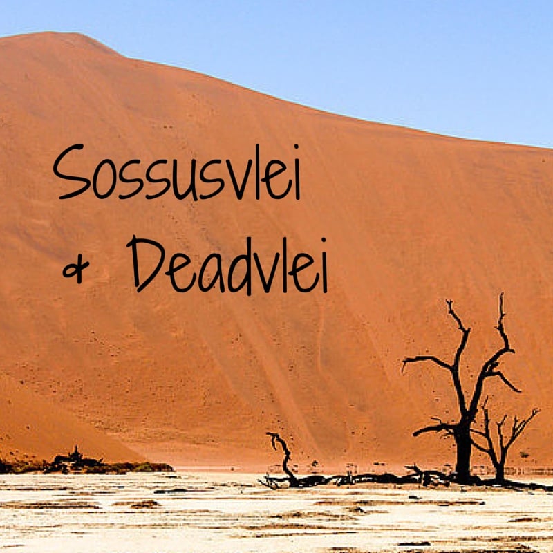 Travel Guide Namibia - plan your visit to Deadvlei Dead lake