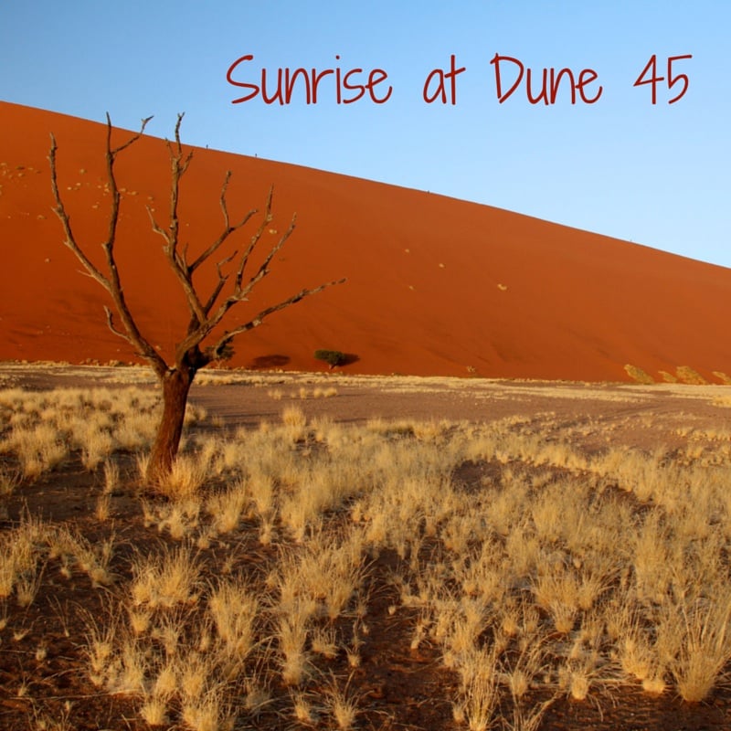 Travel Guide Namibia - plan your visit to Dune 45 at sunrise