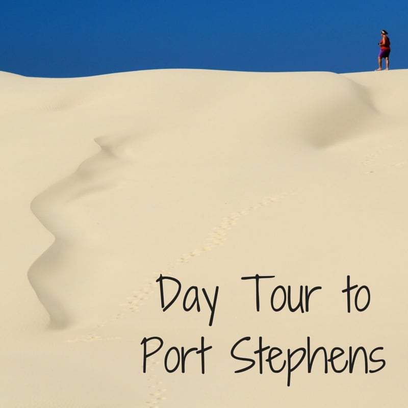 Review Day Tour to Port Stephens dunes dolphins