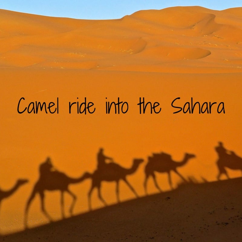 Camel ride into the Sahara desert sand dunes