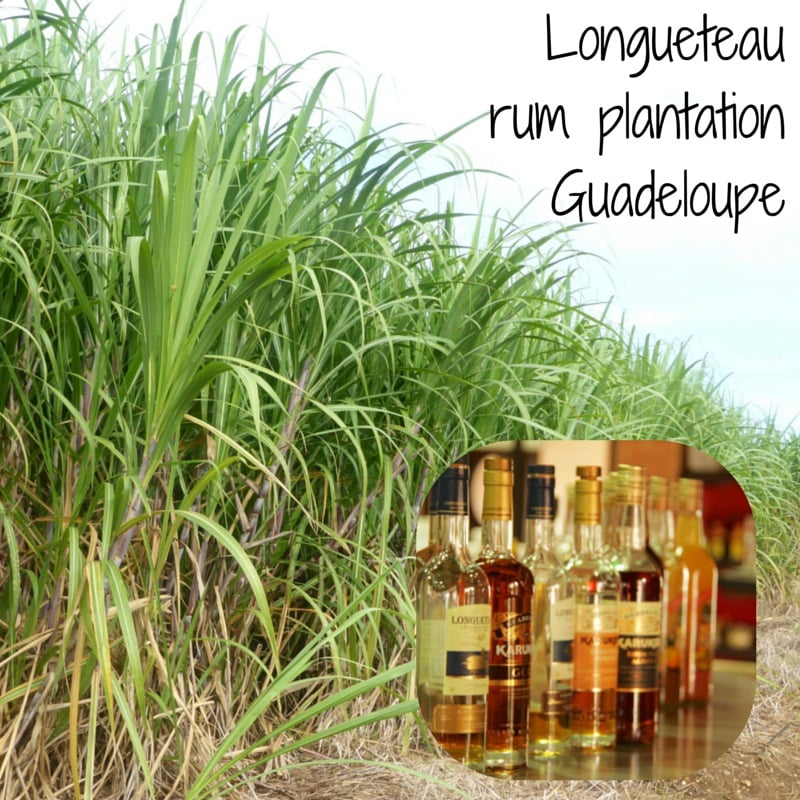 Longueteau rum plantation factory Guadeloupe
