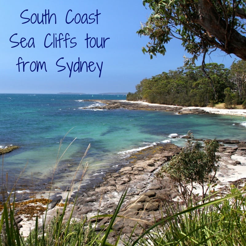 South Coast Sea Cliffs tour from Sydney