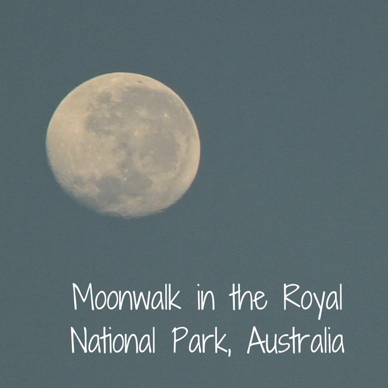 UDU Moonwalk Royal National Park Australia