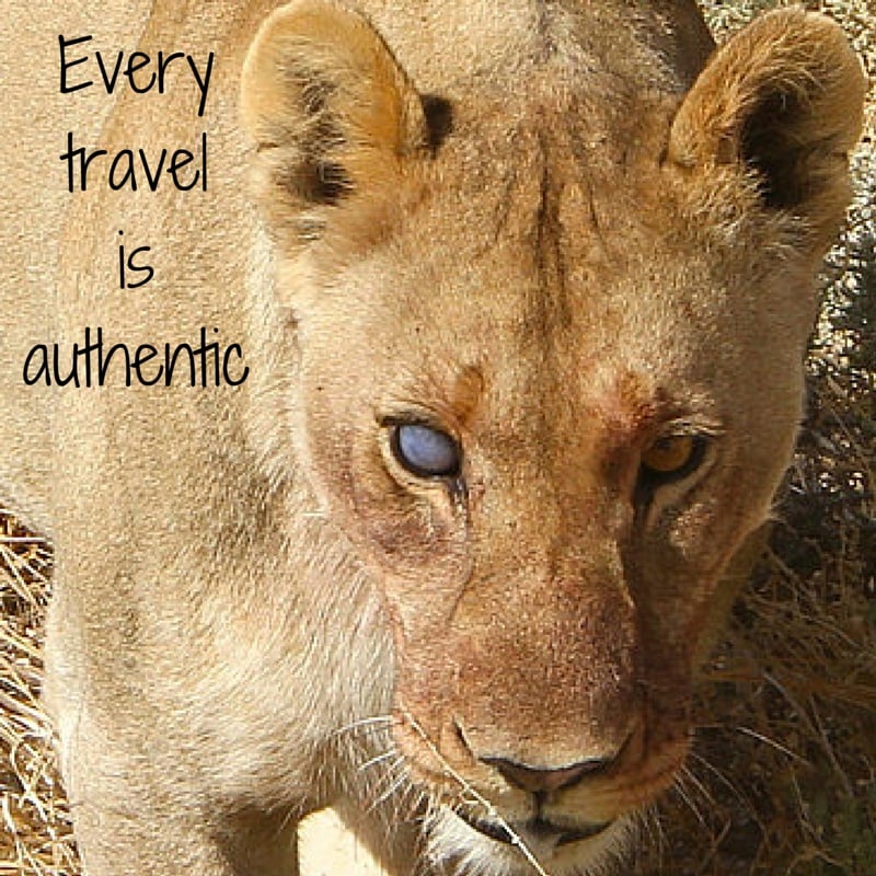 every travel is authentic