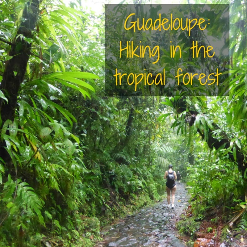 hiking in tropical forest tour to Cabret waterfall Guadeloupe basse terre island