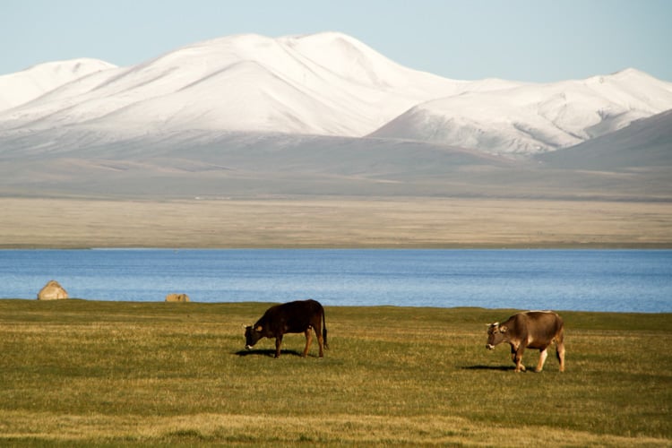 Kyrgyzstan Song Kul