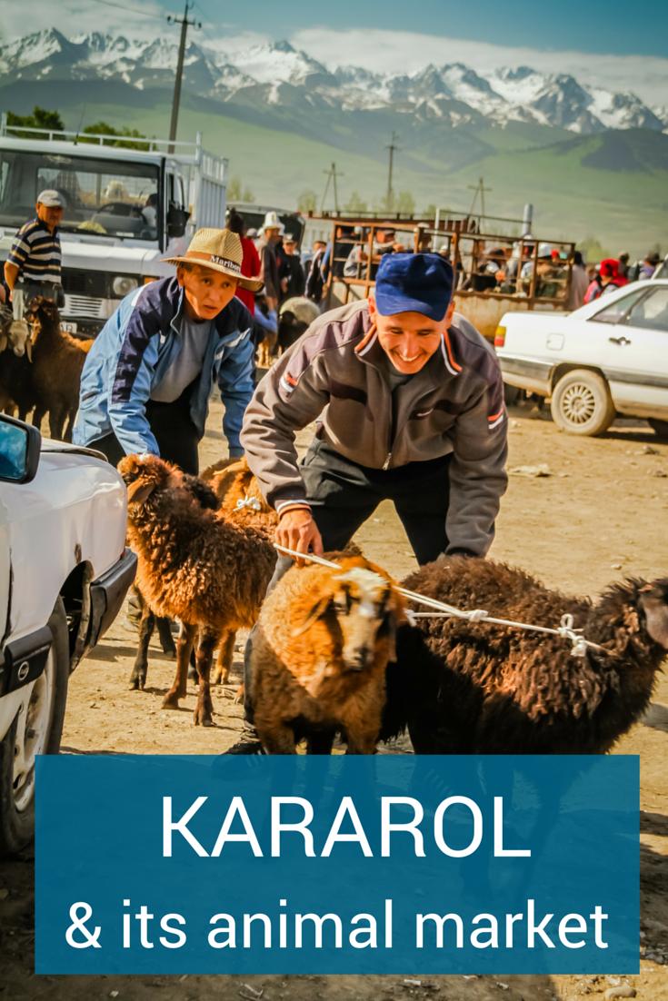 Karakol animal market Kyrgyzstan