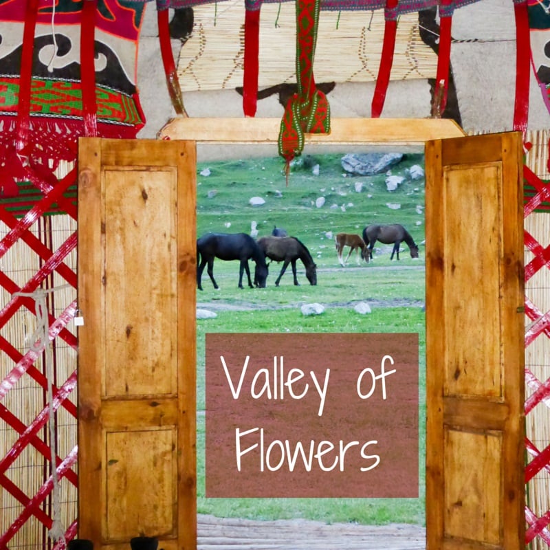 Kyrgyzstan yurt stay valley of flowers