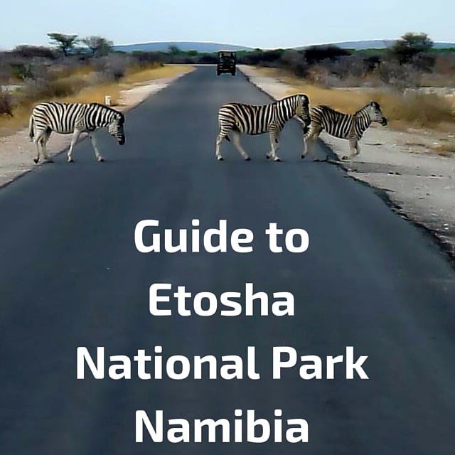 Guide to Etosha National park