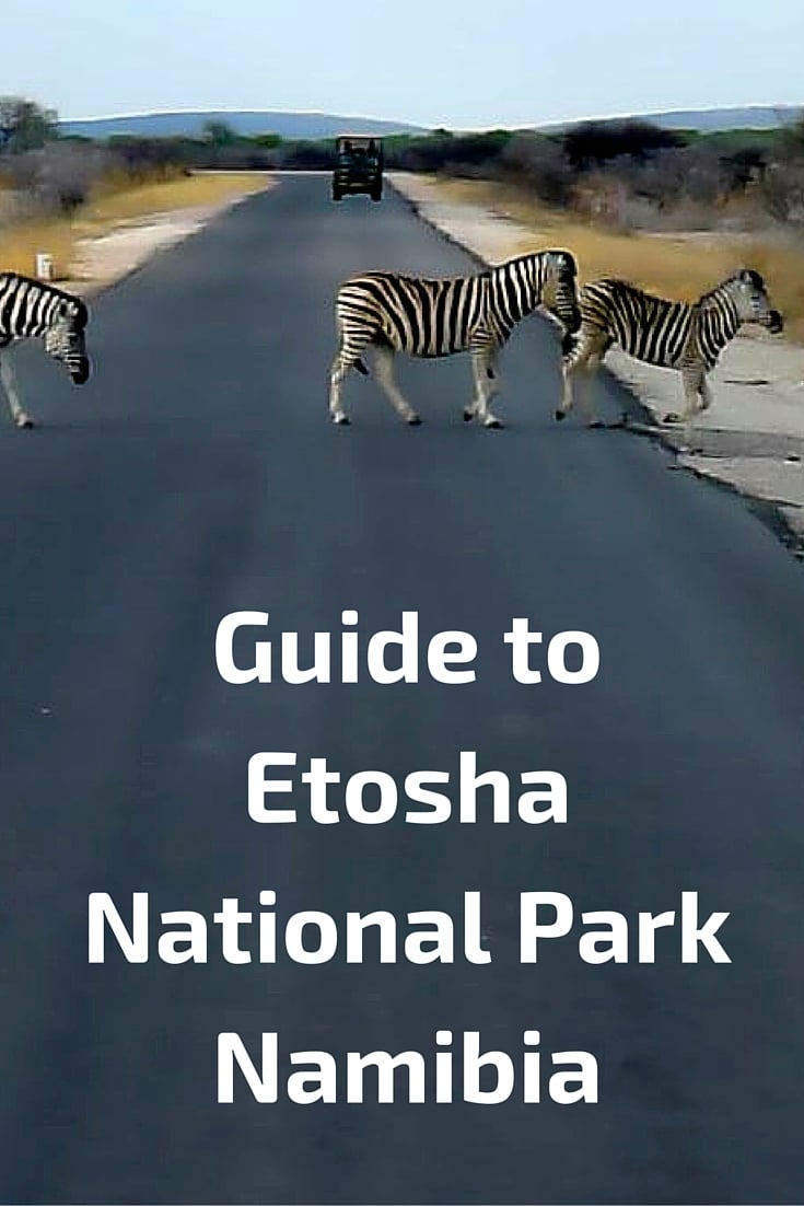 Guide to Etosha National park plan your visit