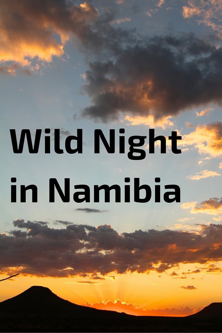 Himba village and Wild night in Namibia