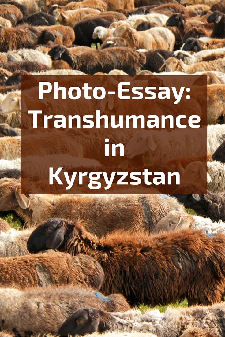 Photo essay: summer transhumance in Kyrgyzstan