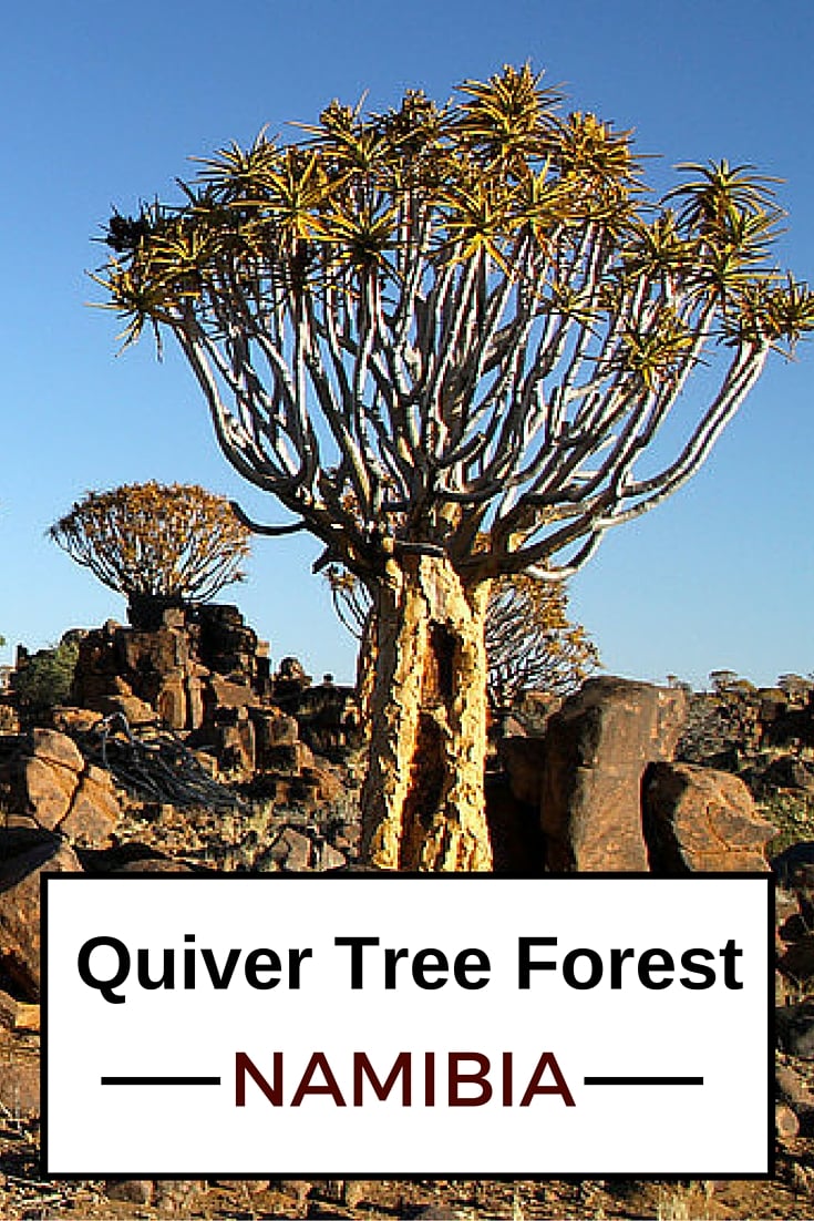 Travel Guide Namibia - plan your visit to the Quiver tree forest and Giant playground