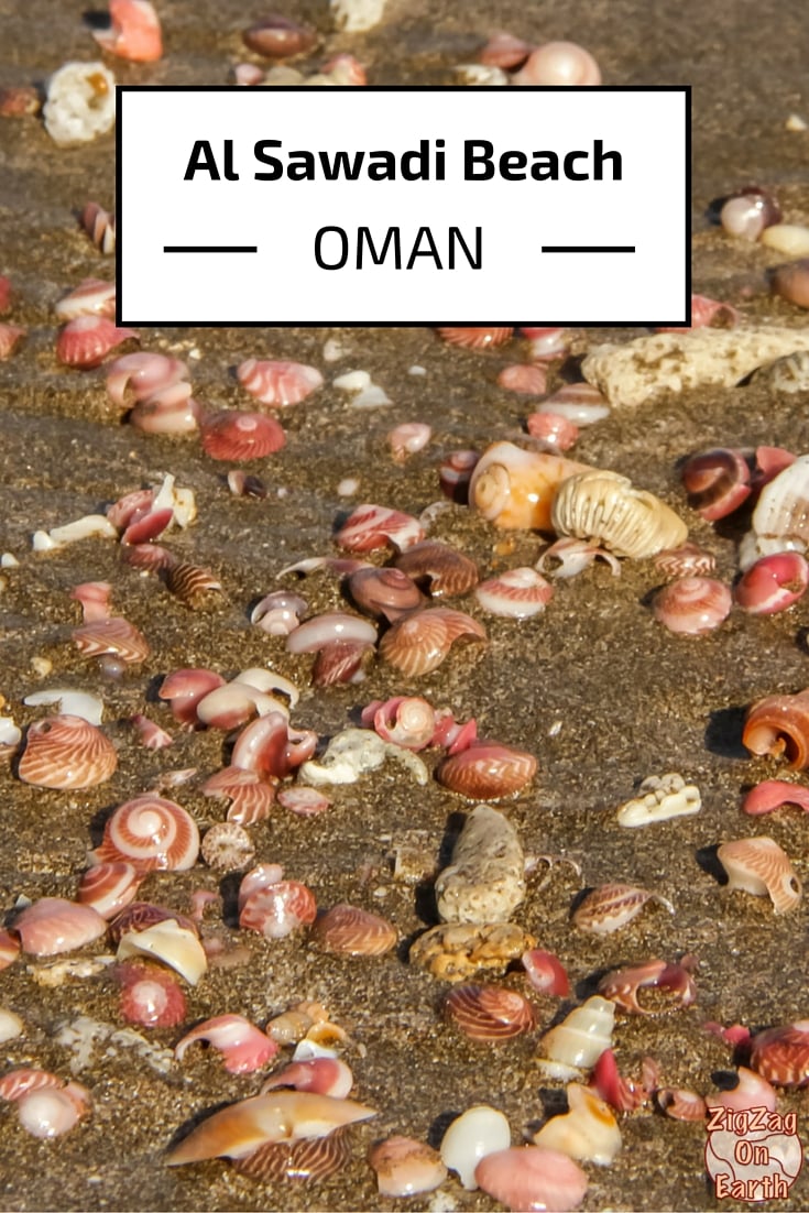 Al Sawadi Beach: shells and views