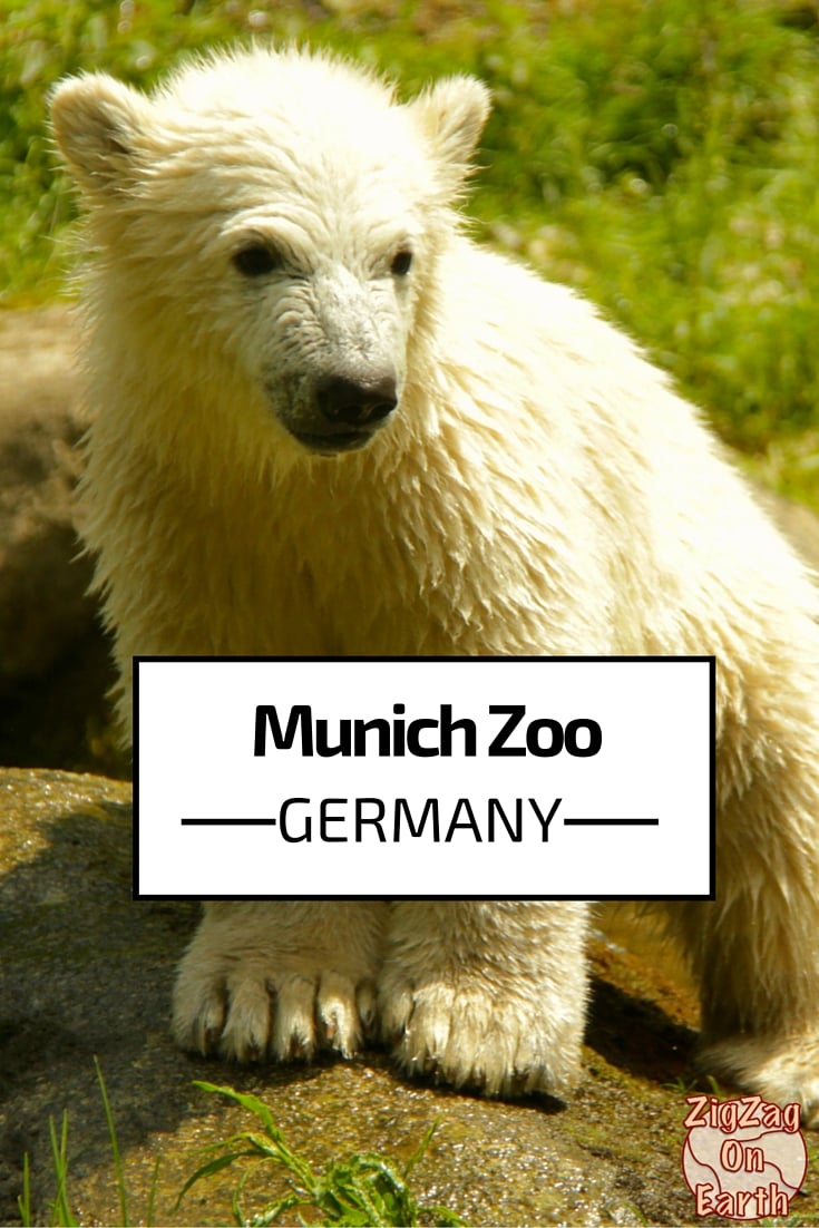 Hellabrunn Munich Zoo - Germany - Travel Guide - Photos