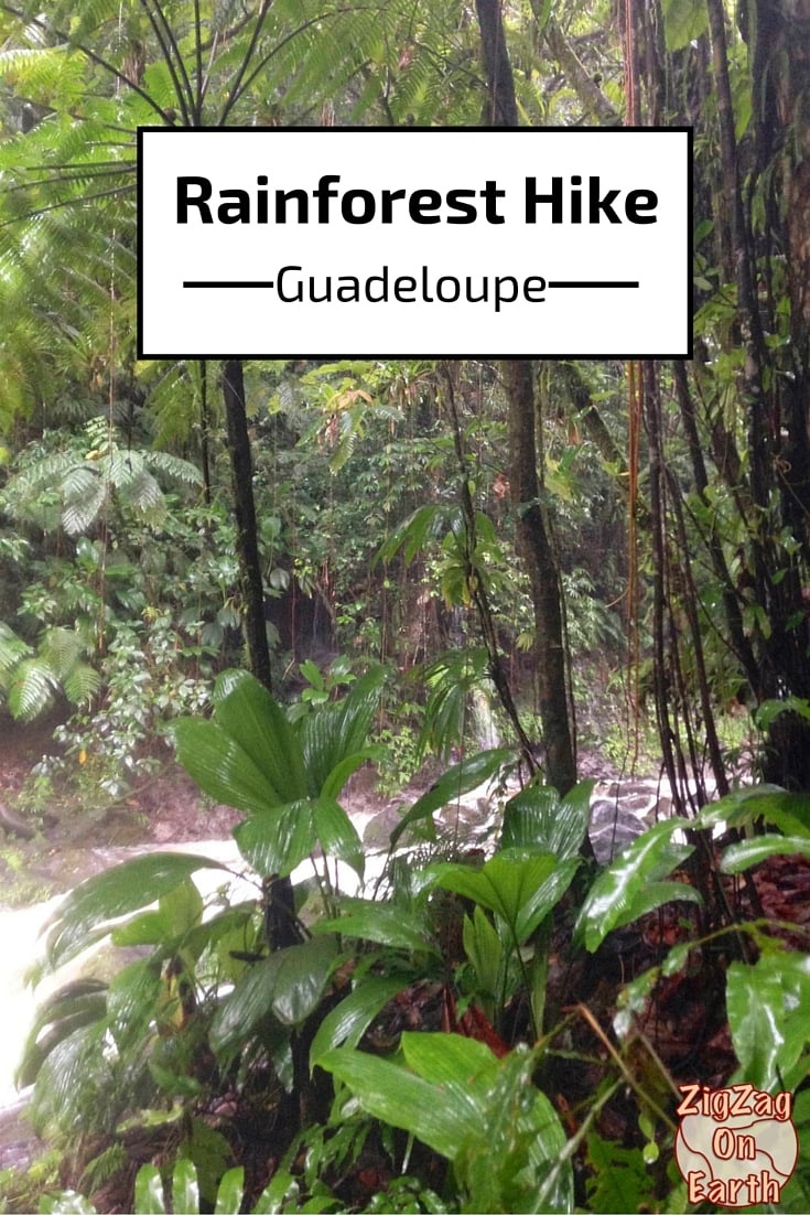 Hiking in the rainforest - Guadeloupe islands - Travel Guide- photos and practical information