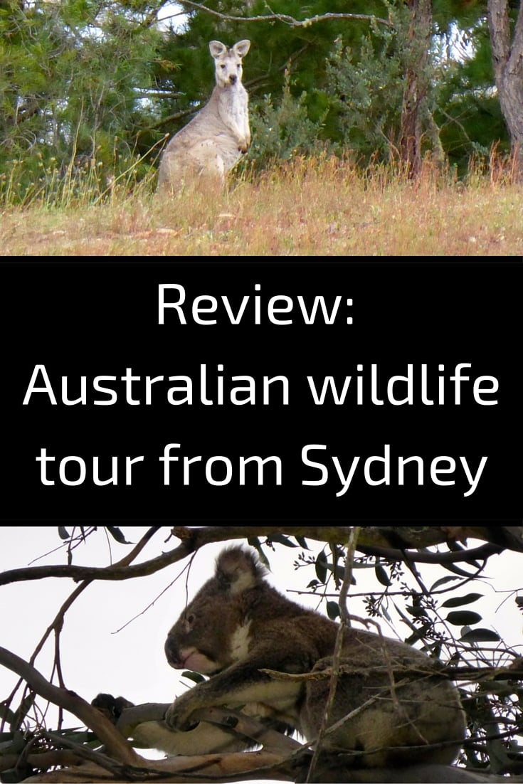 Native Australian wildlife tour from Sydney - Kangaroo Koala Wombat Platypus