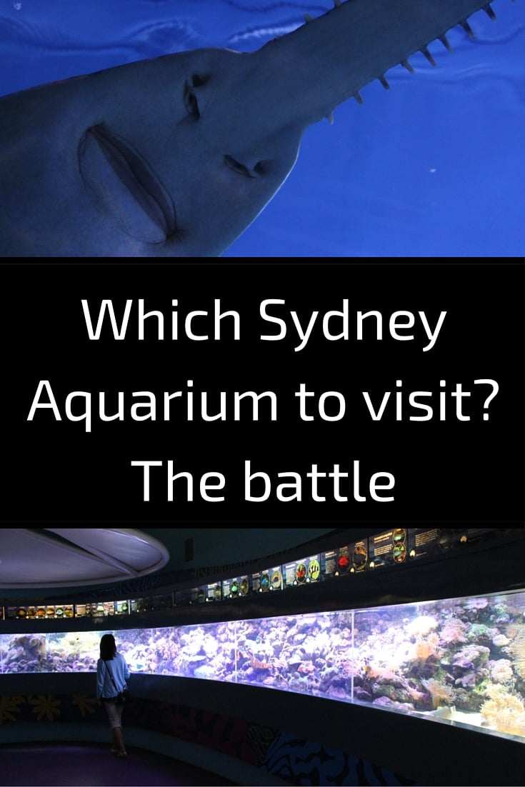 Which Aquarium to visit : Sydney or Manly?