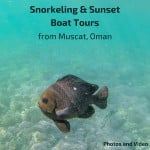 Coastal Snorkeling Sunset Tour from Muscat Oman - Guide video photos