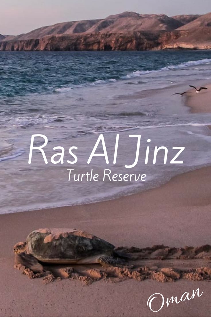 Ras Al Jinz Turtle Reserve Oman