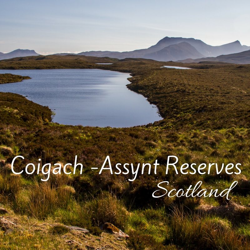 Coigach Assynt Reserve - Loch Assynt - Ardvreck Castle - Drumbeg Loop 2