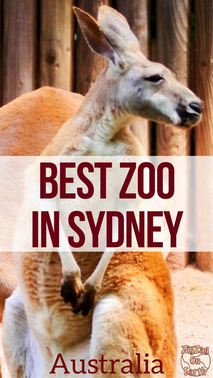 best Sydney Zoos - best zoos in Sydney Australia Travel