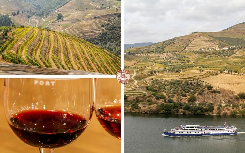 Viagem de um dia do Porto ao Vale do Douro