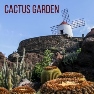 Cactus Garden Lanzarote Travel Canary islands 2