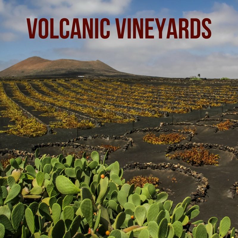 La Geria Lanzarote Vineyards Canary islands travel guide 2