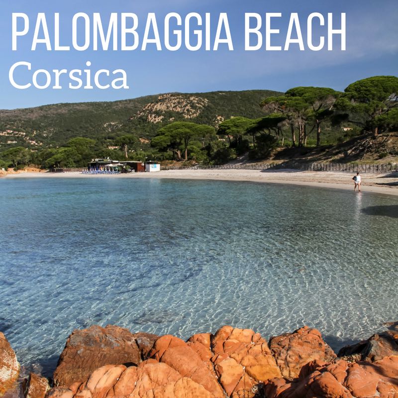 Palombaggia Beach Corsica Travel guide