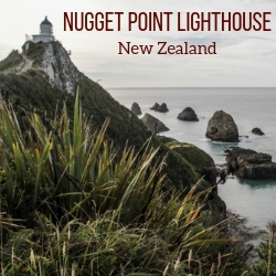 Nugget Point Lighthouse New Zealand Travel Guide
